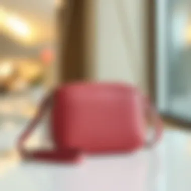 Elegant crossbody purse design showcasing versatility