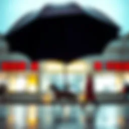 The Heart-Shaped Umbrella: A Unique Intersection of Fashion and Functionality Introduction