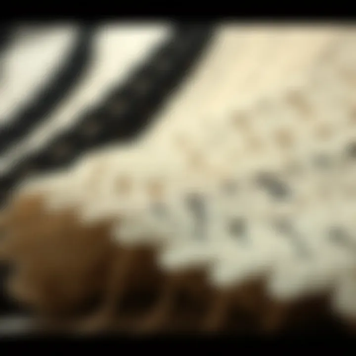 Diverse Styles of Lace Front Laces An array of different styles of lace front laces displayed elegantly.