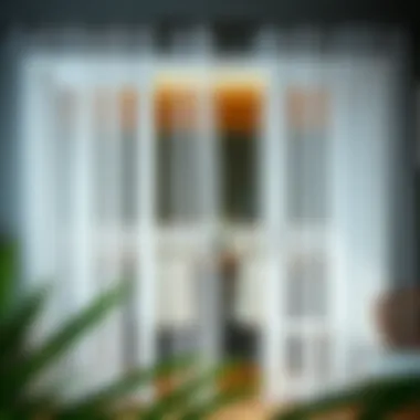 The Practical Applications and Design of Mesh Net Door Curtains Summary The Practical Applications and Design of Mesh Net Door Curtains Summary