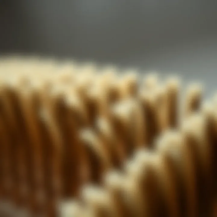 Close-up of brush bristles highlighting texture