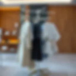 Modern spinning clothes rack with elegant design