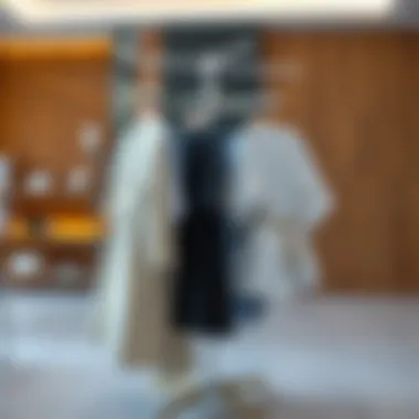 Modern spinning clothes rack with elegant design