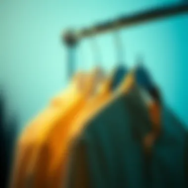 The Versatility and Utility of Multi-Function Hangers Summary The Versatility and Utility of Multi-Function Hangers Summary