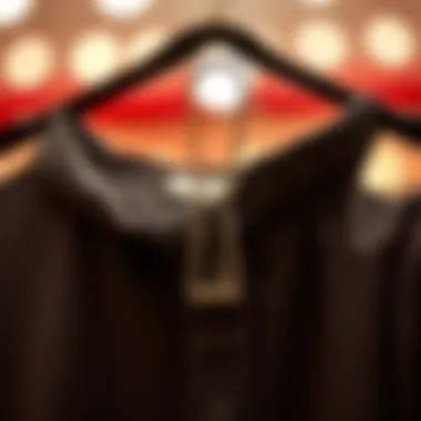 The Versatility of Clothing Clips: Practical Applications and Styles Summary