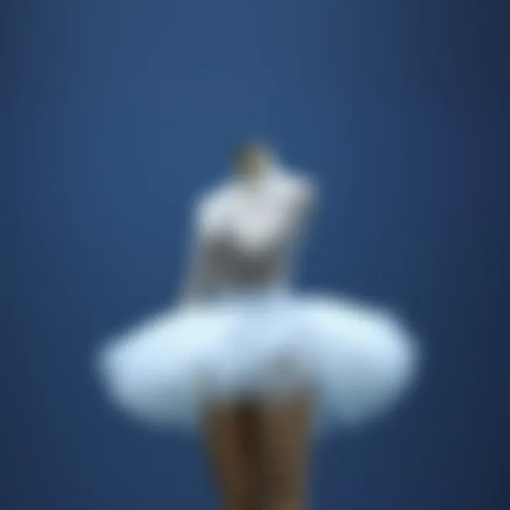 Notable The Versatility of Netting Fabric in Tutu Construction